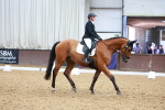 SBM_005441