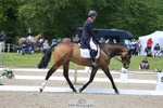 222-KILCANNON_SENSATION-Harry_Meade portfolio