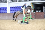 SBM_010356