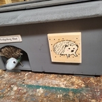 Hedgehog Home
