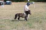 WJ6_6822