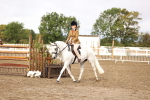 SBM_00268