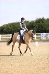 SBM_008528
