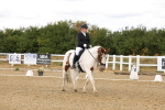 SBM_006343