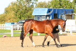 SBM_07997