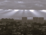 Sunbeams Highlight Shepherd's Bush (b&w)