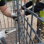 IMG_2569-Edit 1-7-15