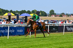 230626-Race 5-Percys Daydream-1484
