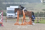 BPP_9018