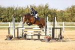 SBM_03896