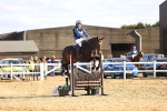 SBM_003334