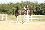 SBM_007995