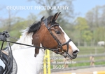 BPP_1605