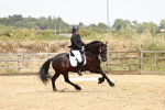 SBM_003637
