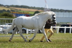 DSC07550