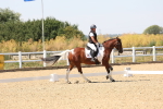 SBM_005621