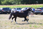 WJ6_4883