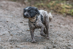 Glentress Marathon-629