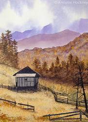 Watercolour paintings portfolio