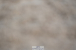 240323A-105855-01509