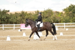 SBM_010894
