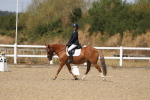 SBM_013735