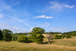 Swinbrook 14