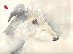 delighted to meet you portfolio