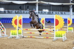 SBM_001296