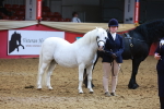 SBM_16797