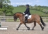 BPP_6191