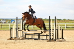 SBM_008906