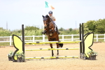 SBM_004339