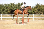 SBM_000876