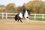 SBM_001690