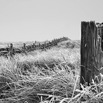 Frozen Post. Haywood, Scotland