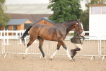 SBM_07760