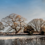 Landscape-018