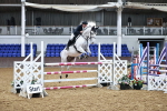 SBM_001629