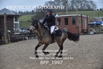 CLASS 18 STX-UK Pony BritiNovice / 0.80m Open portfolio