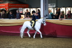 SBM_15893