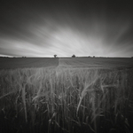 Crops at 1020 seconds
