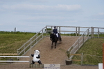 230528A-162050-08277
