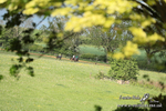 PtP 050525 550