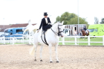 SBM_03437