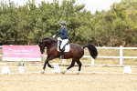 SBM_003725