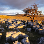 Twistleton Scar End