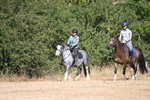 WJ6_7783