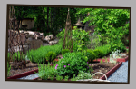 Eija's Garden 2