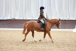 SBM_001058